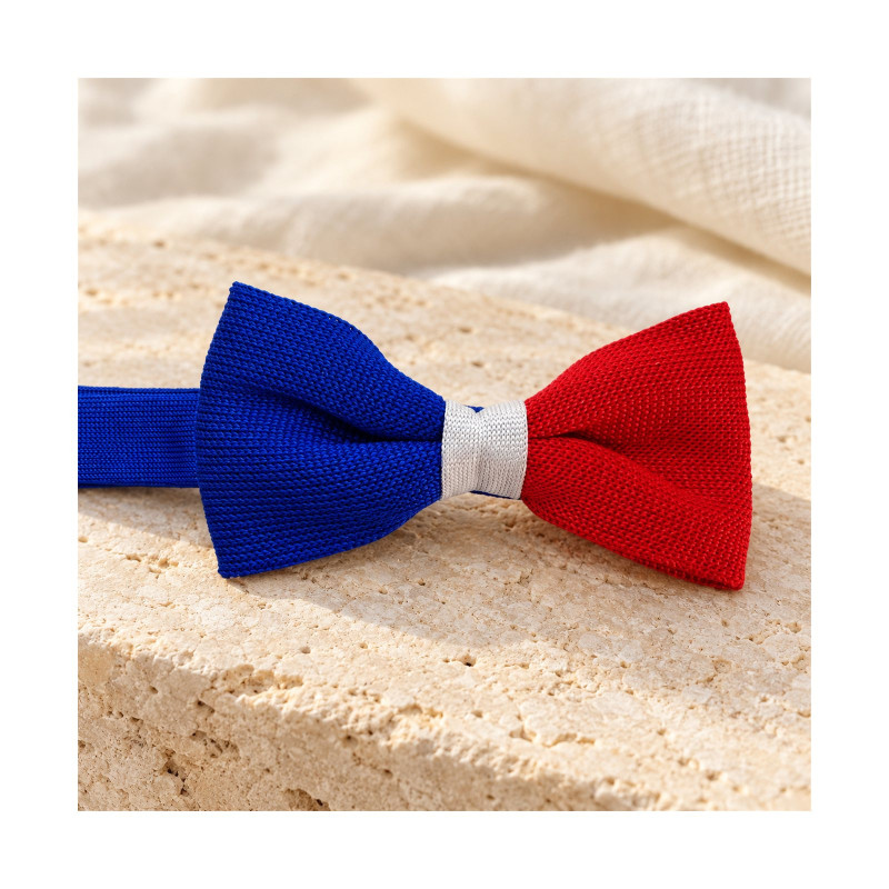 Noeud papillon Tricolore